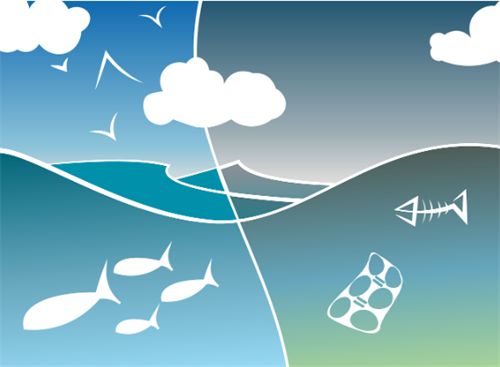 Environmental Sciences